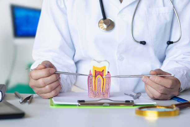 Best Dentist for Dental Trauma  in Westwego, LA